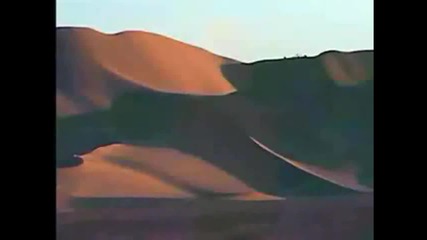 Sting feat Cheb Mami - Desert Rose ( Hd + Бг Превод )