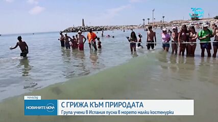 В Марбея пуснаха на свобода бебета костенурки от застрашен вид (ВИДЕО)