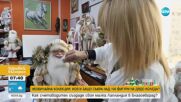 Необичайна колекция: Счетоводител от Благоевград събра над 100 фигури на Дядо Коледа