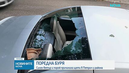 „За секунди стана като ураган“: Буря повали дървета и блокира пътища край Петрич