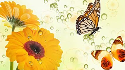 Пърхащи пеперуди сред красиви цветя! ... ...