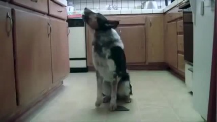 Куче много по-умно от доста хора