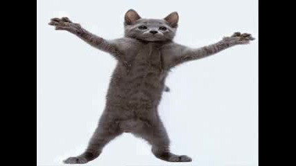 Котка танцува мн яко