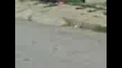 kalaiijiika.