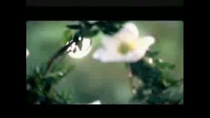 Demi Lovato 'gift of a Friend' Music Video