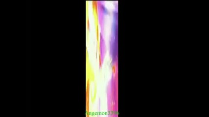 Bloom All Transformations(split Screen)