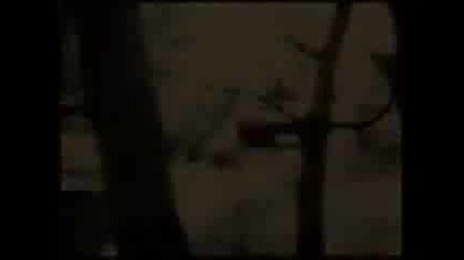 клипче на адолф хитлер.flv