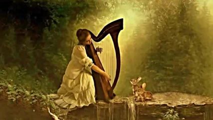 Harp Meditation - The Quiet Forest Celtic Harp Relaxing