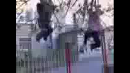 Otka4alki.3gp