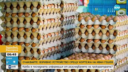 Приготвиха гигантски омлет от 8400 яйца 25 кг наденица на фестивал в Нова Каледония