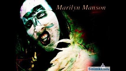 marilyn manson - i dont like the drugs (but the drugs like me) 