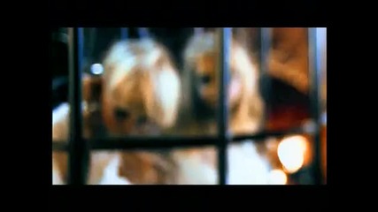 Rammstein - Engel *hd*
