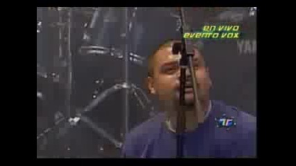 Panteón Rococó - La Carencia (live)