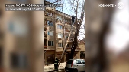 Пожарникари спасиха коте от дърво в Благоевград