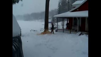 Дърво пада върху къща и я чупи