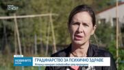 „Градинска терапия” помага за справянето със стреса и тревожността