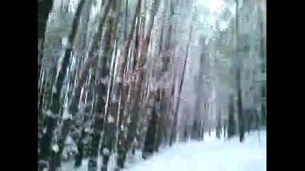 Чакалица