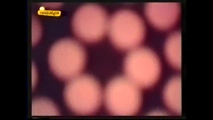 Abba - Fernando (spanish Tv) 