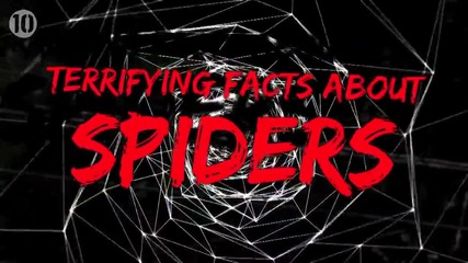 10 ужасяващи факта за паяците