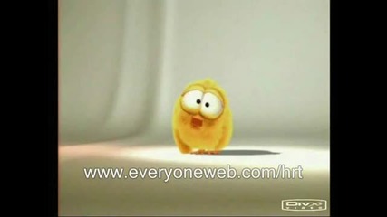 sweety the chick - 4 videos!!