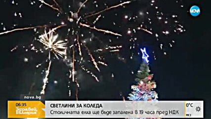 Палят елхата в центъра на София