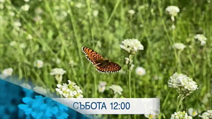 В Новините на NOVA от 12.00 ч. на 29 август очаквайте