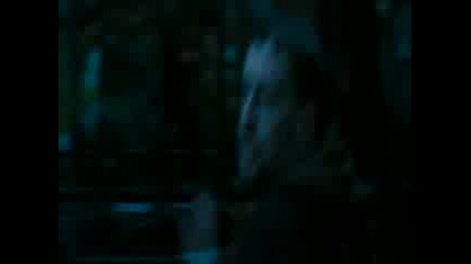 Triler | The Season of the Witch 