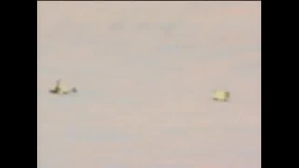 Горките патета отнесе ги вятъра 