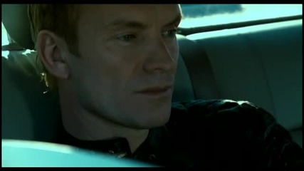 Sting - desert rose