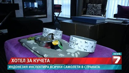 Глезят домашни любимци в петзвезден хотел
