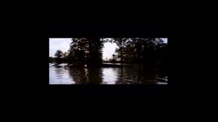 Moby - The New World 