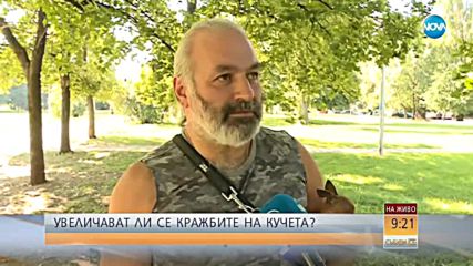 Зачестяват случаите на кражби на кучета