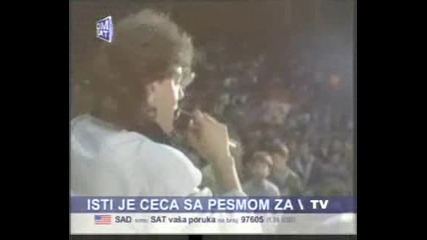 Ясмин-маче мое лажливо