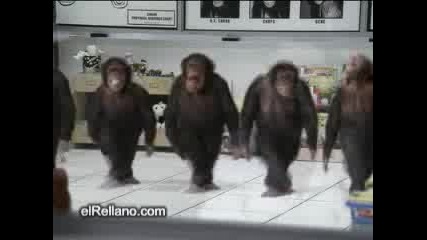 Танцуващи Маймуни ( Смях )