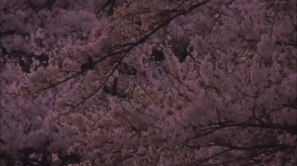 Virtual Trip - Sakura Reprise part 1