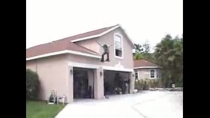 Roof Jump