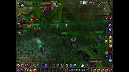 Zul Gurub Unclejoe The bat 1.12.1