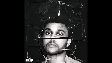 The Weeknd - In The Night | A U D I O |