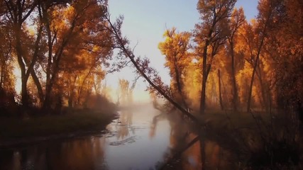Златна есен