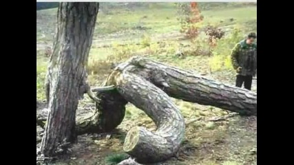 Красиви снимки :д