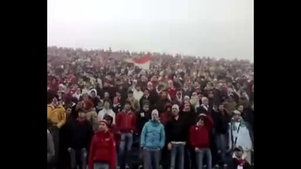 Ultra Montova 