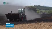 Стотици декари неожъната пшеница изгоряха край димитровградското село Добрич