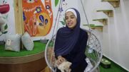 Първо по рода си кафене с котки отвори врати в Газа (ВИДЕО)