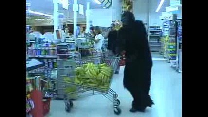 Remi Gaillard - Горила