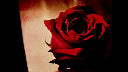 _red Rose Cries_ - David Elan