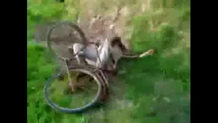 Пяният Циганин - Много Смях наистина си заслужава
