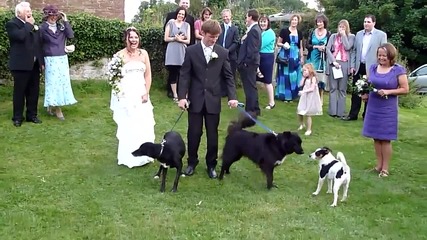 Wedding Fail!!! - куче се изпикава на булката !!!:d:d