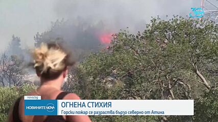 Няколко пожара бушуват в Гърция на фона на очаквани екстремни жеги