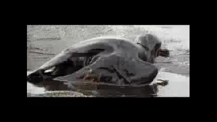 Linkin Park - What Ive Done 