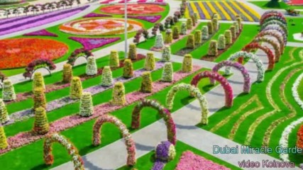 Dubai Miracle Garden- авторски